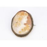 A large carved shell cameo, carved with a female profile decorated with grape and vine, within