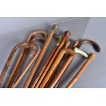 A collection of walking sticks and canes, to include an antler handled example with white metal