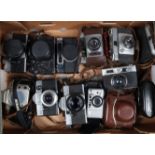 A Tray of 35mm Film Cameras, including a Rollei Prego 70, a Nikon F60 SLR body, a Praktica MTL3