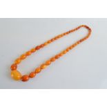 A string of graduated toffee coloured amber beads, largest 2.8cm, smallest 1cm, 30cm together, 51g