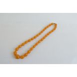 A string of graduated amber beads, all of uniform colour, largest 2.5cm, smallest 1.8cm, 30cm