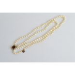 A double row of graduated cultured pearls, with yellow metal, garnet and seed pearl clasp, 39 cm