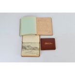 Three leather bound albums, one dated 1919, others with comical cartoons (3)