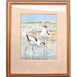 Robert Gilmor (British, b. 1936), A Print of 'Avocets at Minsmere' Painted for the cover of Radio