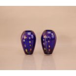 A pair of 20th century Murano glass vases, blue with flower design, 19cm high (2)