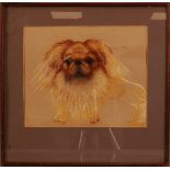 H. Simmonds (British, 20th century), A Pekingese dog, pastel,