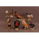 A collection of assorted Beswick ceramic birds, including a turkey, Pheasant, owl and a West