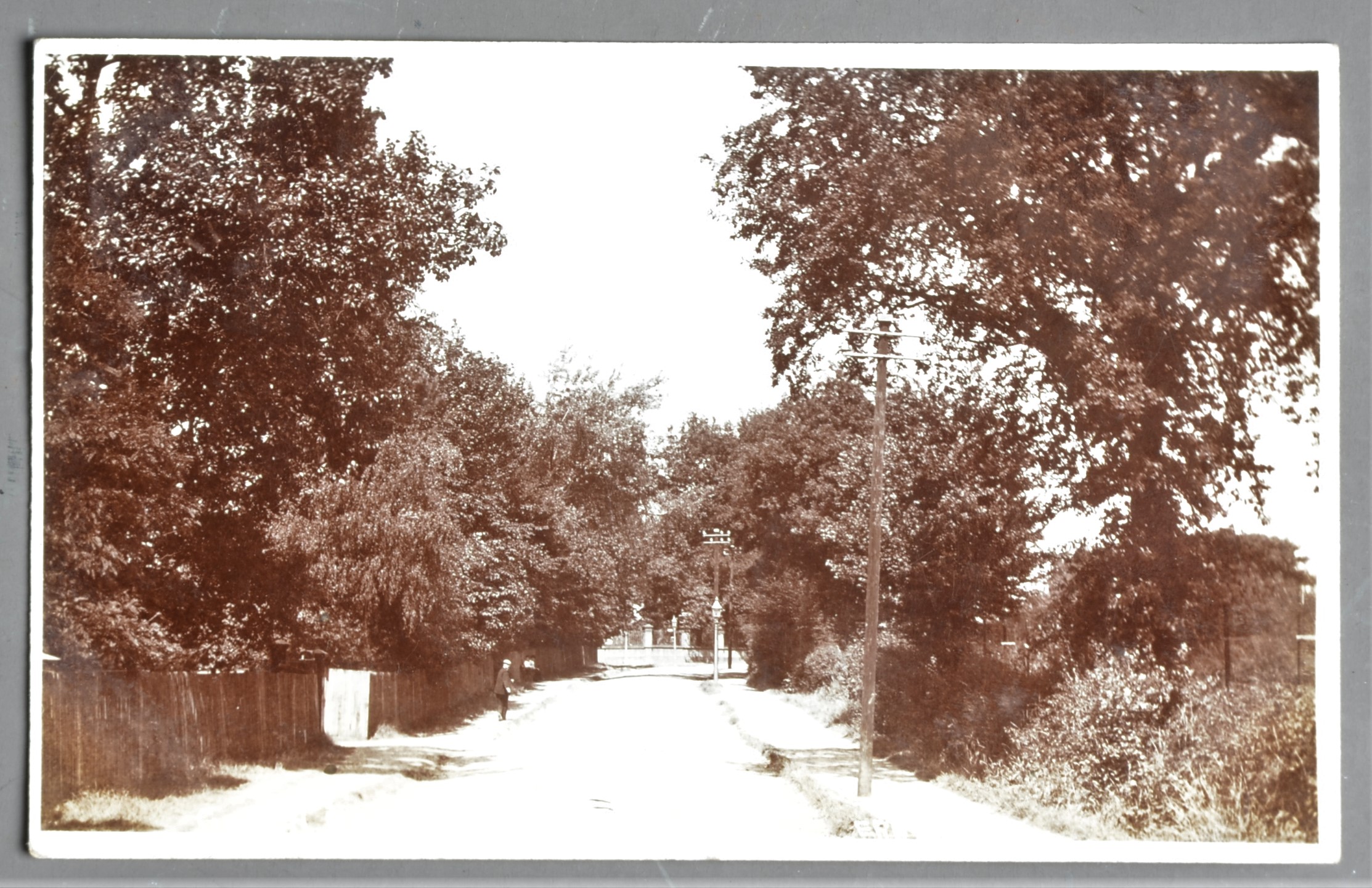 Postcards, modern album, P2, UK topographical, RP Green Dragon Lane, Winchmore Hill, pu 1906 (1),