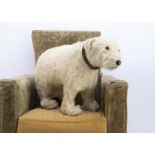 A British standing white mohair polar bear 1930s, with black boot button eyes, black stitched nose