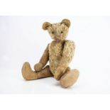 An early British teddy bear, with blonde, black boot button eyes, pronounced muzzle, swivel head,