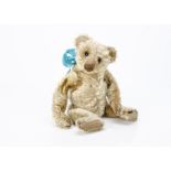 An early Steiff teddy bear circa 1910, with blonde mohair, black boot button eyes, pronounced