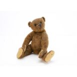 An early Steiff cinnamon mohair teddy bear circa 1909, with black boot button eyes, pronounced