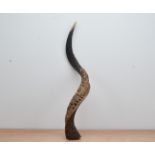 A carved kudu antelope horn, with elephants carved to one side 70cm in length