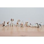 A collection of Royal Doulton puppy figurines, all in differing poses and marked to the