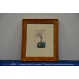 A framed bootplate of a cactus, in a maple frame, 48cm x 40cm IMPORTANT! REGARDING CONDITION