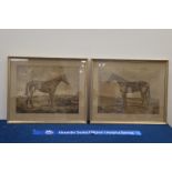 A pair of horse engravings, dated in 1924 and 1925, framed and glazed 51cm x 61cm (2) IMPORTANT!
