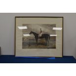 A Hunt engraving of a horse, called Jeddah, 80cm x 95cm IMPORTANT! REGARDING CONDITION REPORTS: