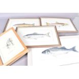 Phil May print, depicting two young lads fishing, together with a Sea Bass print by S Pay, plus