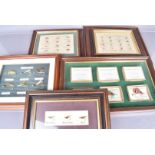 A good collection of framed vintage fishing flies, c.1900 onwards, 11 frames in total