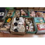 A large assortment of various sea shell, many different species and sizes, including Conch,