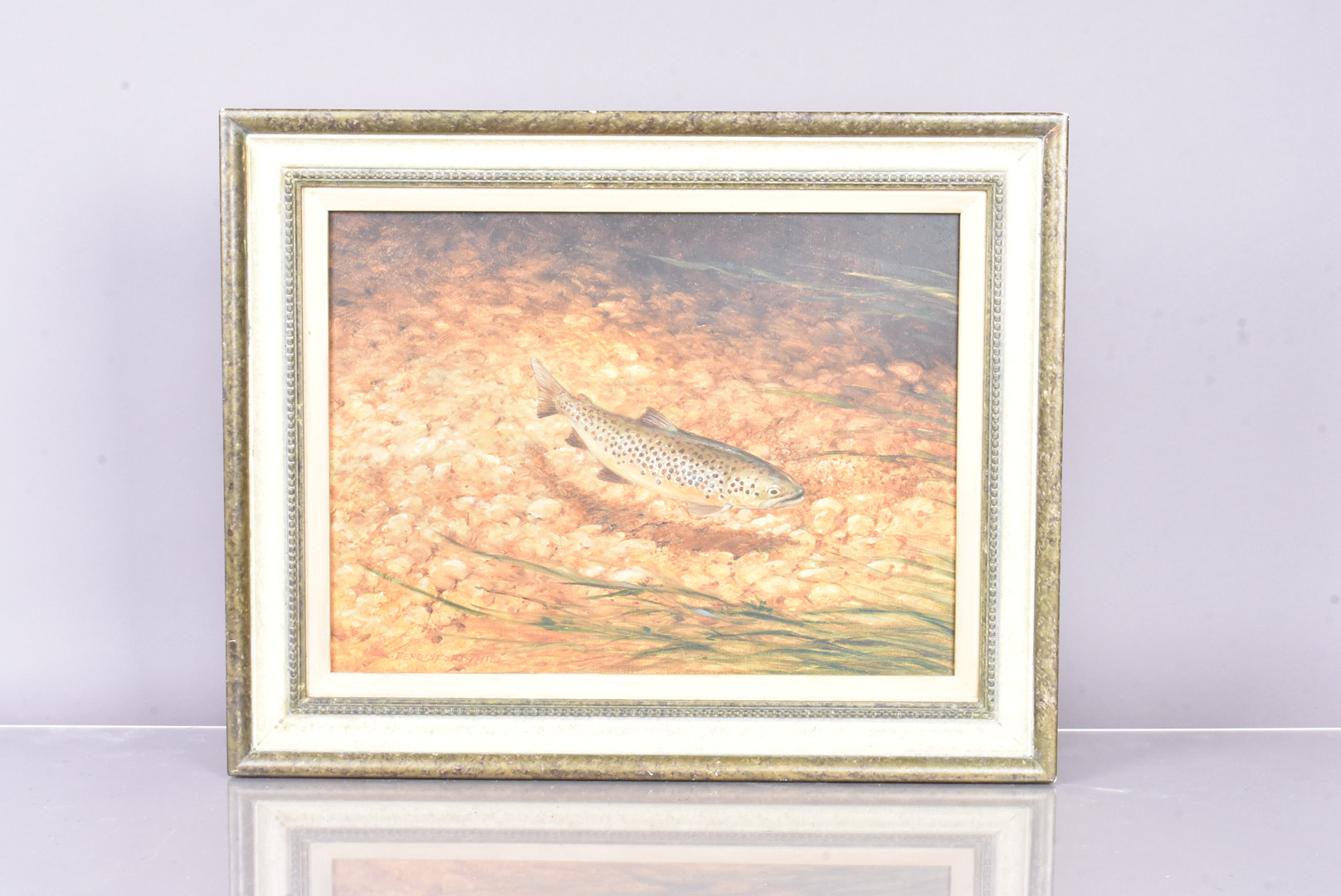 Berrisford Hill, (British, 1930-), oil on board, depicting a brown trout, signed in red to the lower