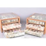 An extensive shell collection, over six display/storage cases, many of the shells have labels for