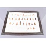 A display of Neolithic Arrowheads, from Murzuk, South Libya, 31 in total, of different forms