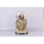American Exotic Birds, Taxidermy, a large diorama of eight exotic birds amongst foliage, including