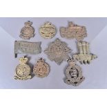 A collection of cast brass Military insignia badges, unknown use, comprising Royal Tank Regiment,