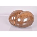 A polished Coco De Mer, 29cm W x 25cm D x 16.5cm H