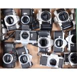 A Tray of Pentax SLR Camera Bodies, including a Asahi Pentax Spotmatic F, black, shutter fast on
