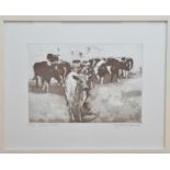 Margaret Knott (British 20th century), Devon Head', limited edition print, no. 3/30 signed bottom