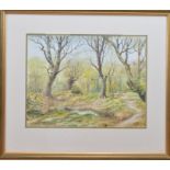 Leslie B Stew (British 20th century), a forest scene, watercolour on paper, signed bottom right,
