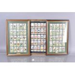 An assortment of framed and glazed cigarette card sets, including Players Cricketer Caricatures