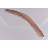 An Australian wooden boomerang, with gouged design on both sides, 59cm in length