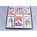 Postcards, modern album - 1910s-1920s, including art coloured, maritime, some 1930s-1950s, Kinsella,