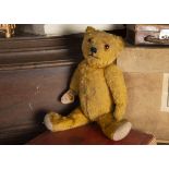 Calder - an Omega Teddy Bear 1930s, with golden mohair, orange and black glass eyes, pronounced