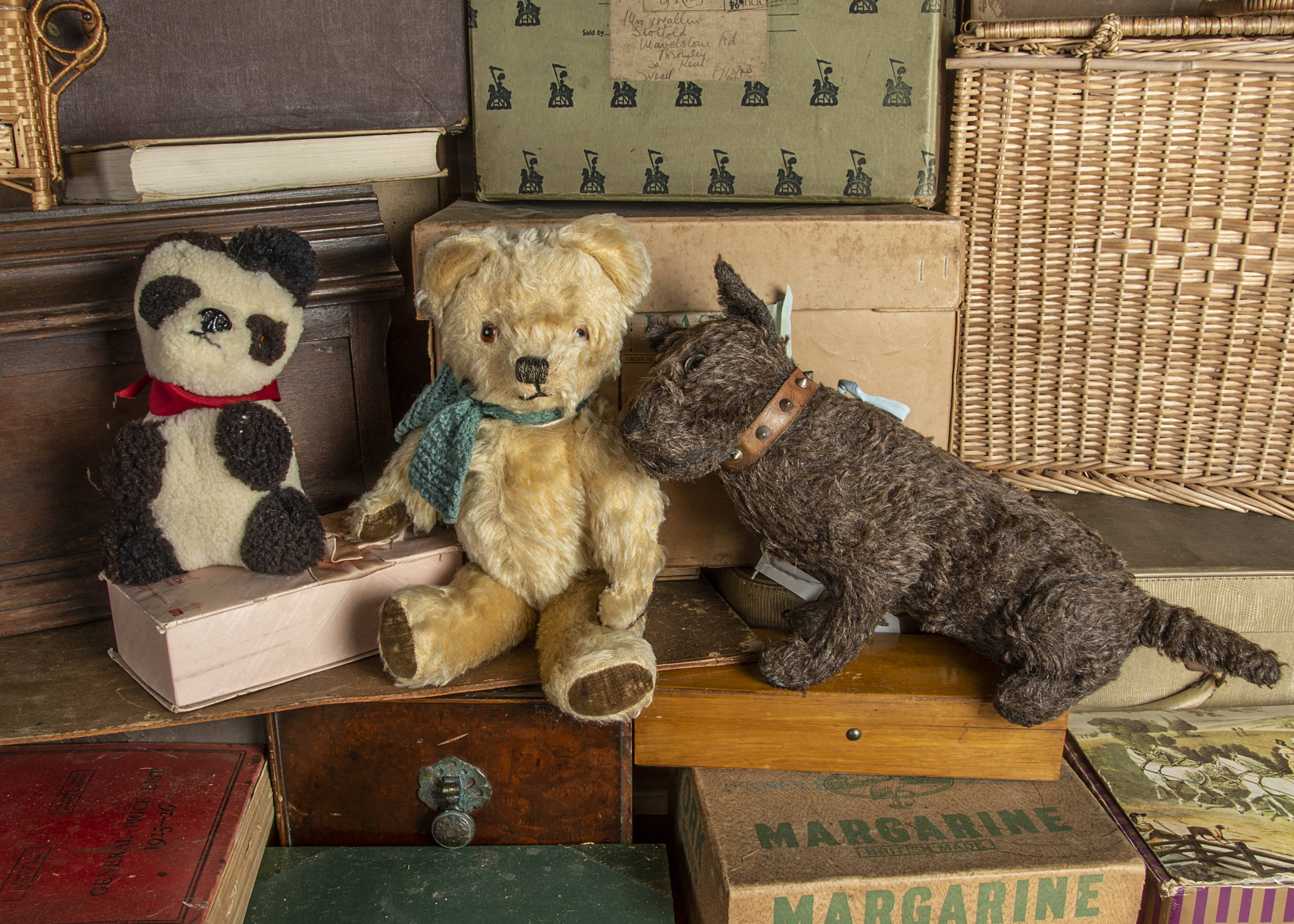 A 1930s British terrier dog and his friends, with black flecked with white wool plush, clear and