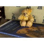 A small German Teddy Baby type Teddy Bear, with golden mohair, black bead eyes, pronounced cloth