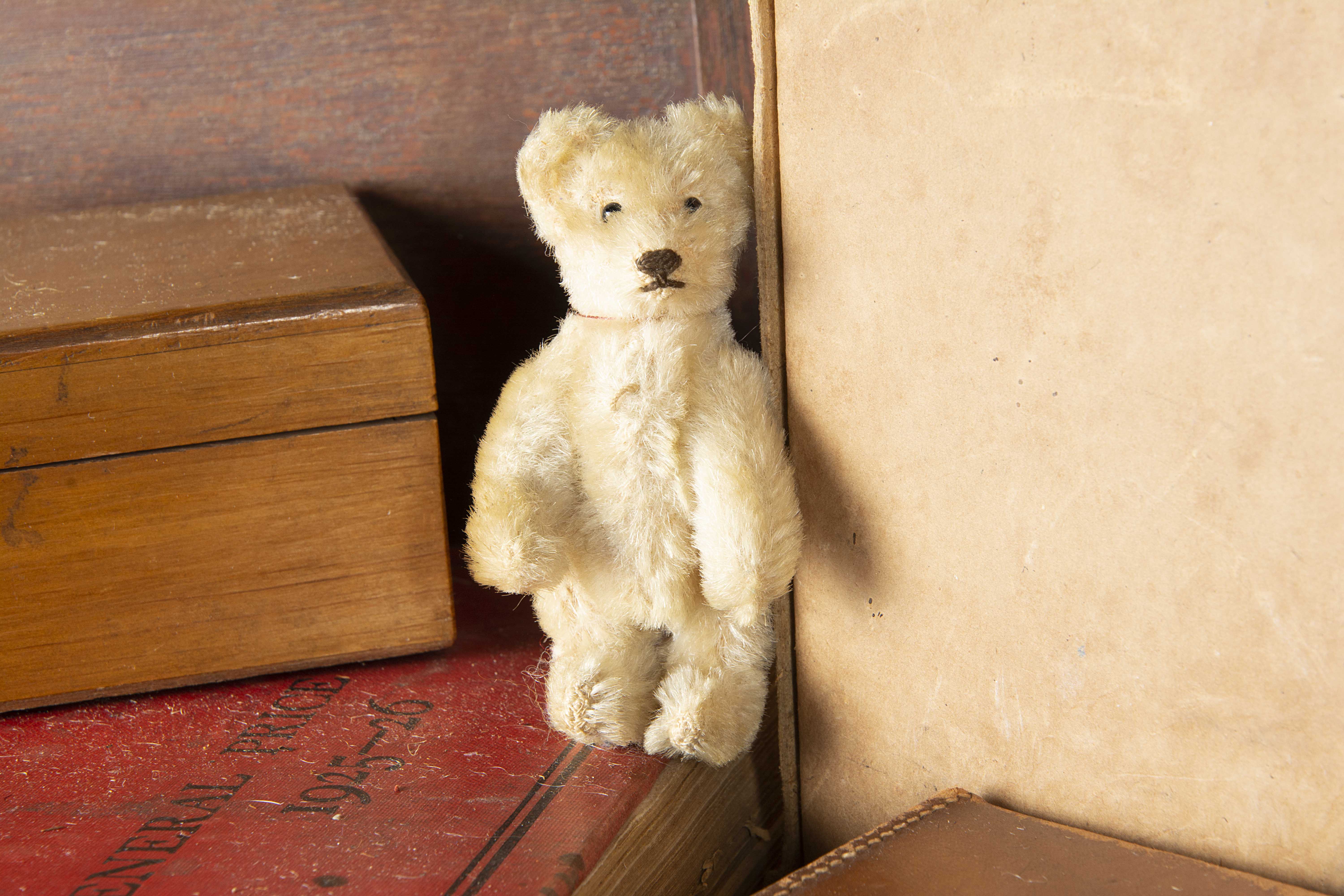 Irvin - a post-war miniature Steiff Teddy Bear, with white mohair, black pin eyes, brown stitched