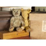 Winterburn and Skipton Teddy Bear friends, Winterburn, a 1915-20 German Teddy Bear with blonde