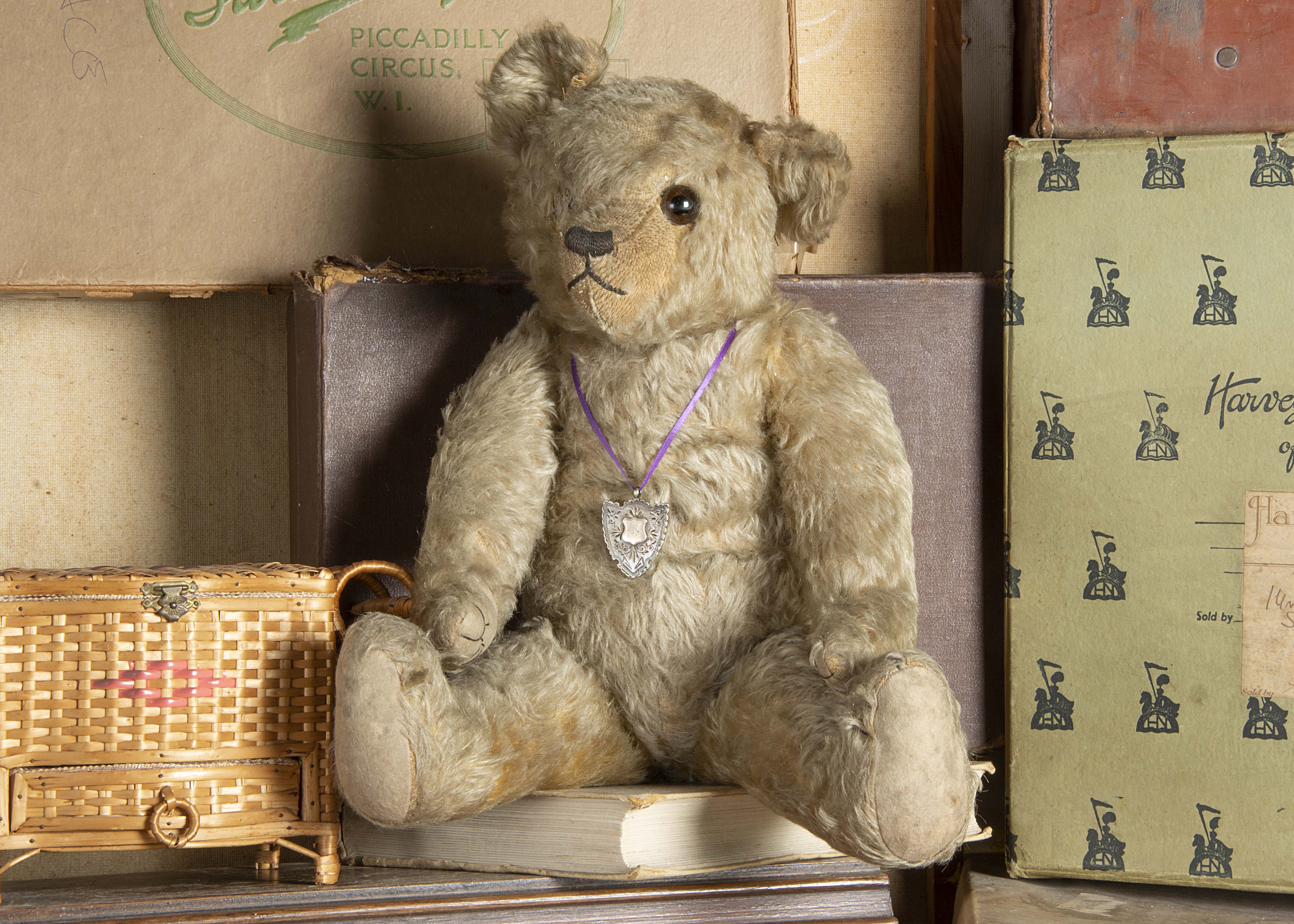 Edward Bearpacker - a 1920s Farnell Teddy Bear, with light golden, clear and black glass eye with