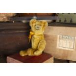 Baltimore - an American Teddy Bear 1920s, with golden mohair, black boot button eyes, pronounced