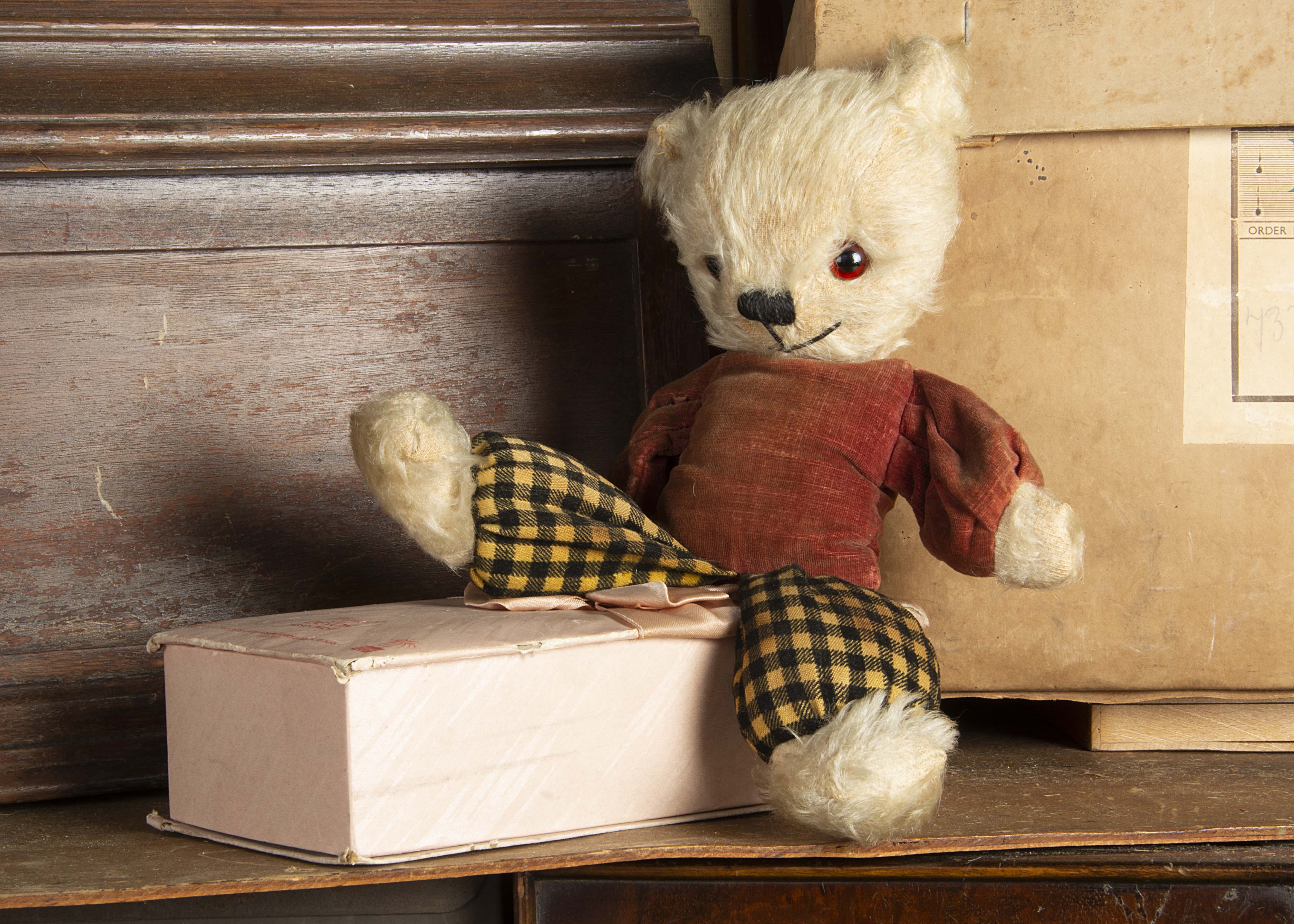 Timothy Cheadle - a Pedigree dressed Teddy Bear 1950s, with white mohair head, hands and feet,