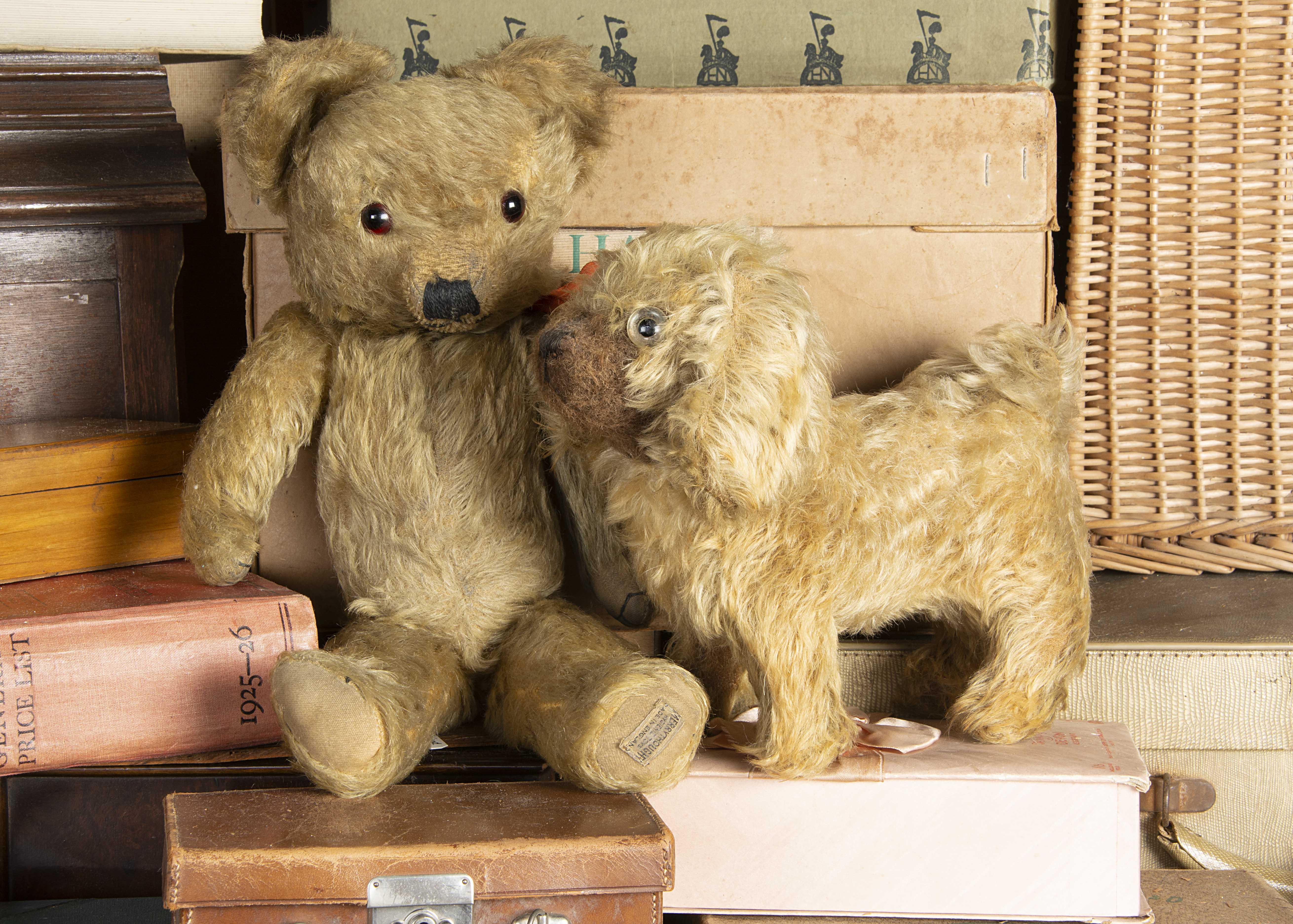 Nuthall and his dog - a 1930s Merrythought Teddy Bear, with golden mohair, orange and black glass