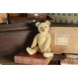 Courtfield - a 1930s German Teddy Bear, similar to Bing with golden mohair, clear and black glass