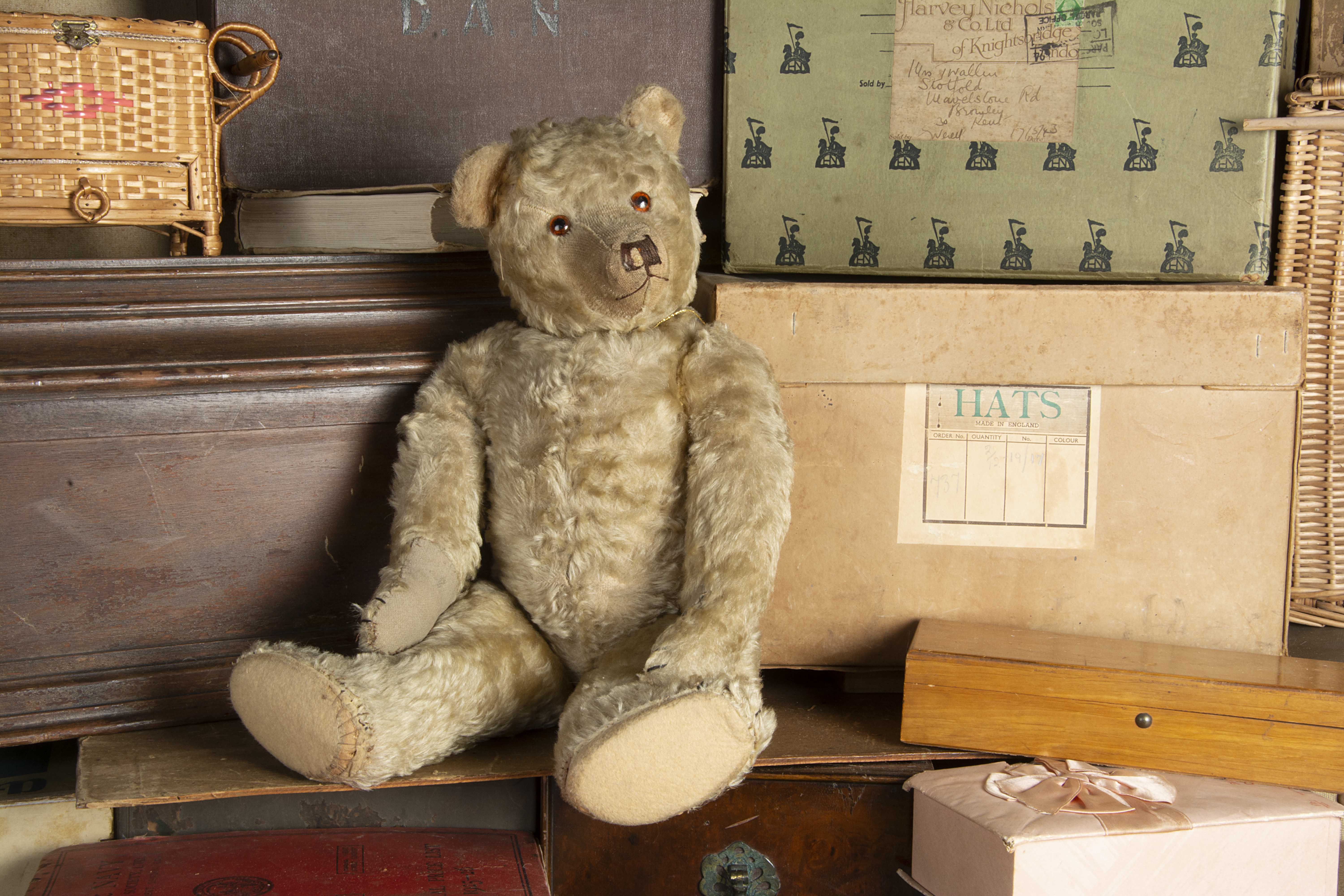 Buttermere - a 1920s Farnell Teddy Bear, with blonde mohair, orange and black glass eyes, pronounced