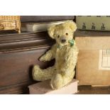 Waldridge - a 1920s British Teddy Bear, possibly Teddy Toy Company with light golden mohair,