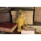 Bushy Grove - a 1940s British Teddy Bear, with golden mohair, clear and black glass eyes with
