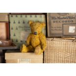 Goldy Knox - an interesting 1930s British Teddy Bear, possibly an early Pedigree, but similar in